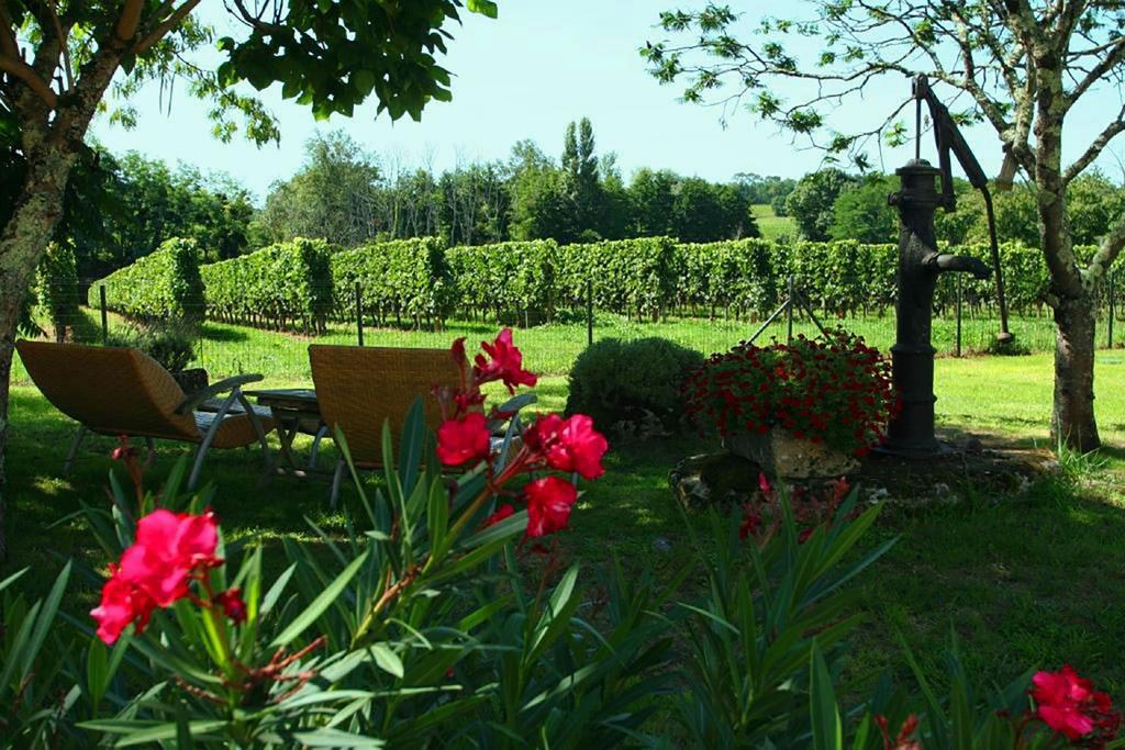 Bleu Raisin Bed and Breakfast Les Salles-de-Castillon Eksteriør billede