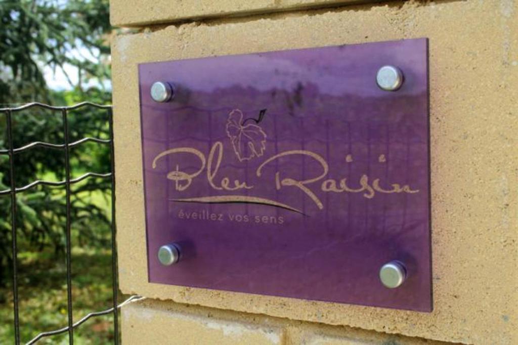 Bleu Raisin Bed and Breakfast Les Salles-de-Castillon Eksteriør billede