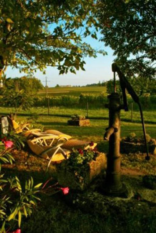 Bleu Raisin Bed and Breakfast Les Salles-de-Castillon Eksteriør billede